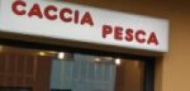 Pesca sud