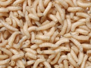 200 GR